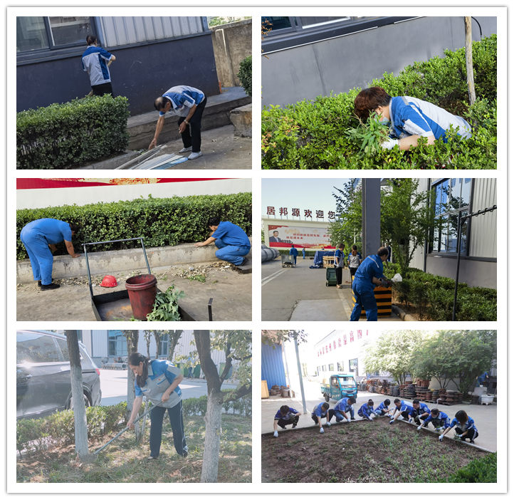 大家清掃、拾撿綠化帶垃圾，清理路邊縫隙死角內(nèi)的煙頭和雜物.jpg