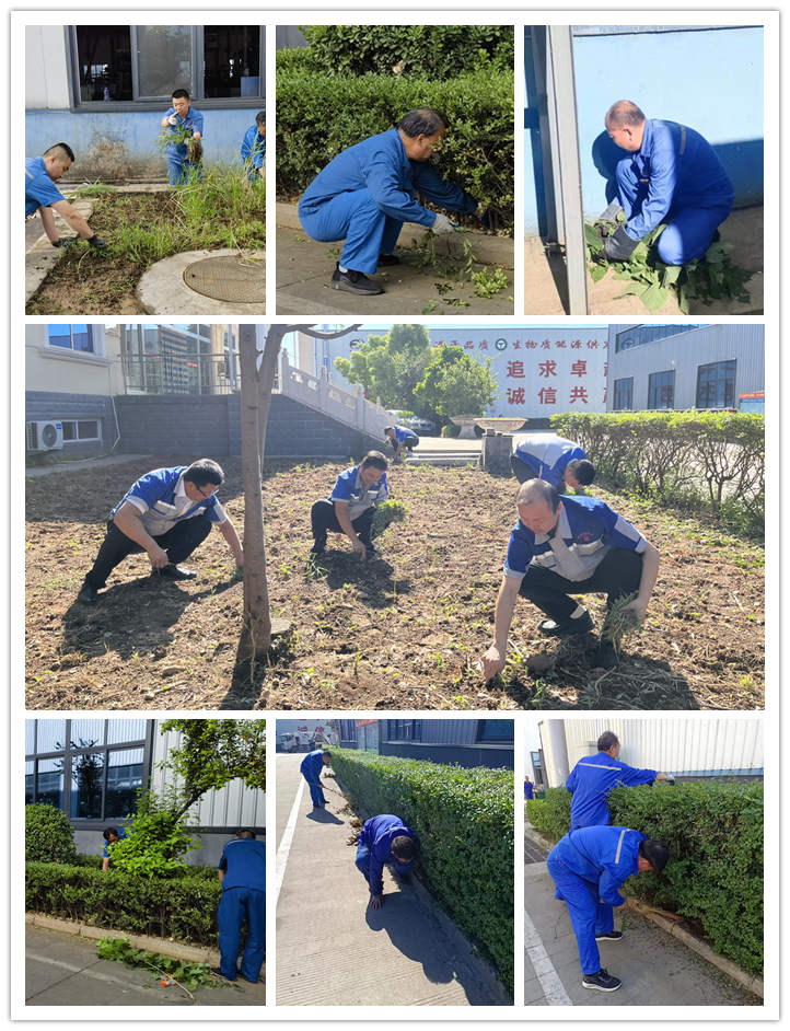 大家清掃、拾撿綠化帶垃圾，清理路邊縫隙死角內(nèi)的煙頭和雜物.jpg